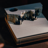 3DNoteArt ™ - TumTum