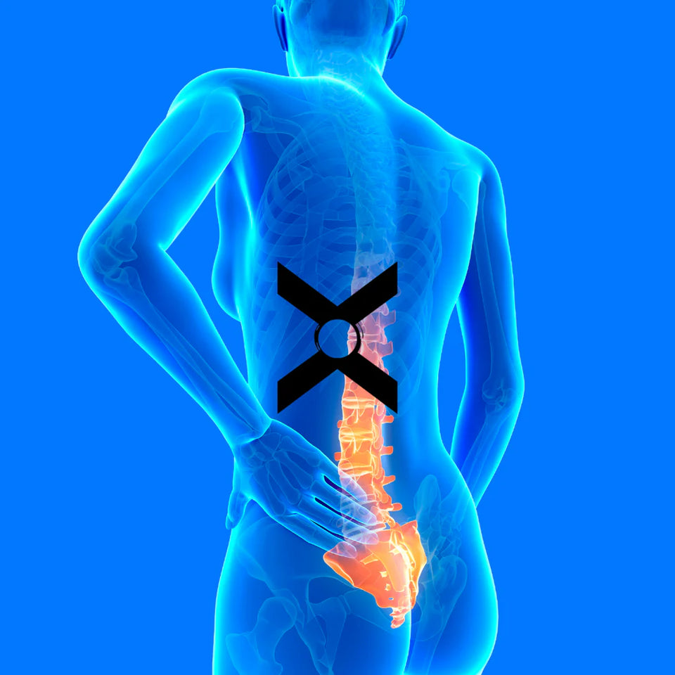 LumbarX™ Back Belt