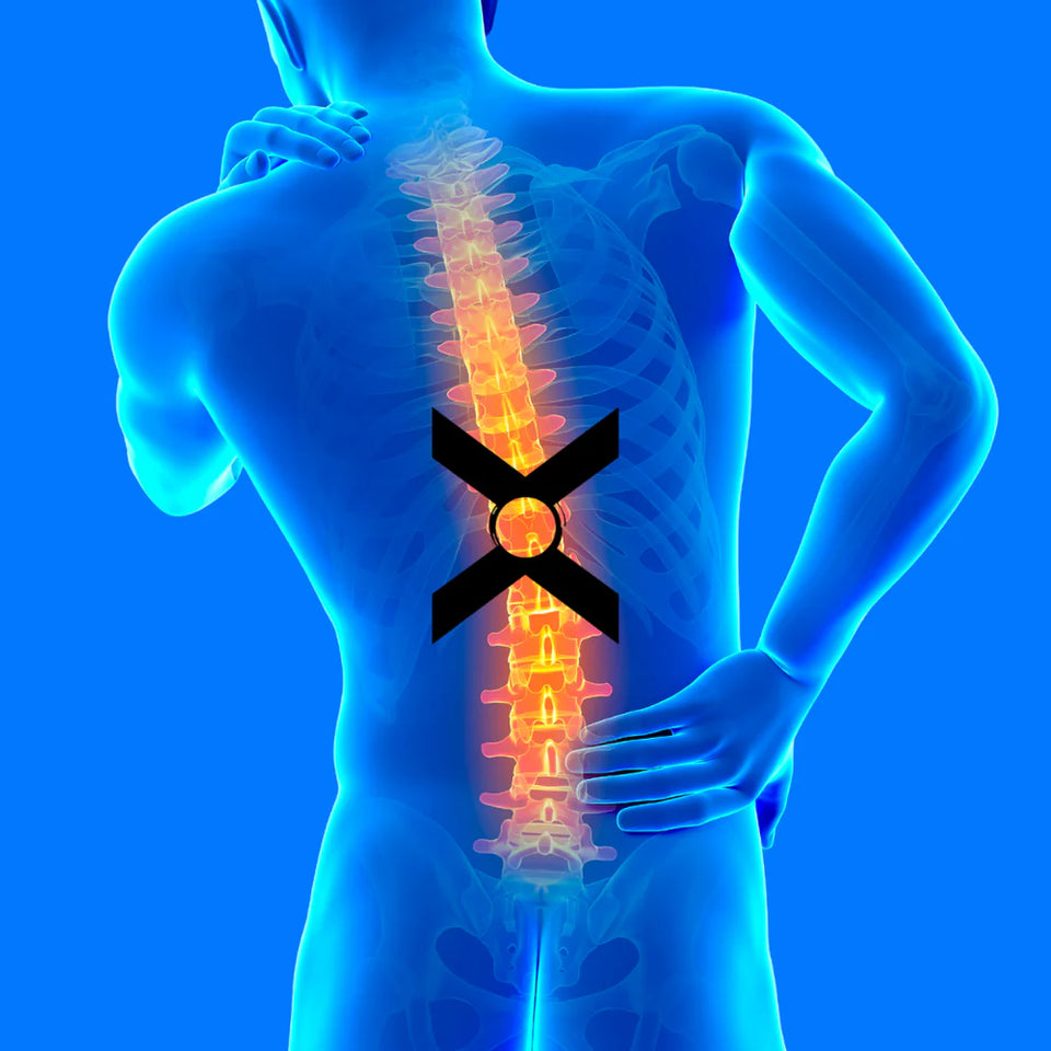 LumbarX™ Back Belt