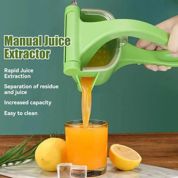 Handheld Fruit Juicer
