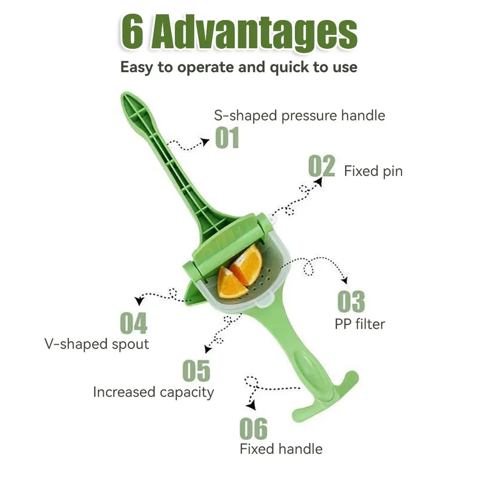 Handheld Fruit Juicer