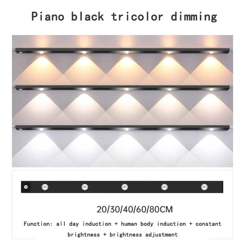 LedMotion ™