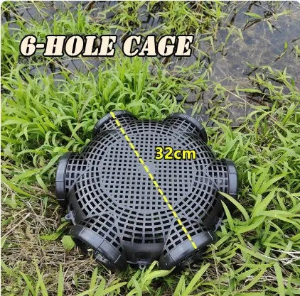 46008538202363