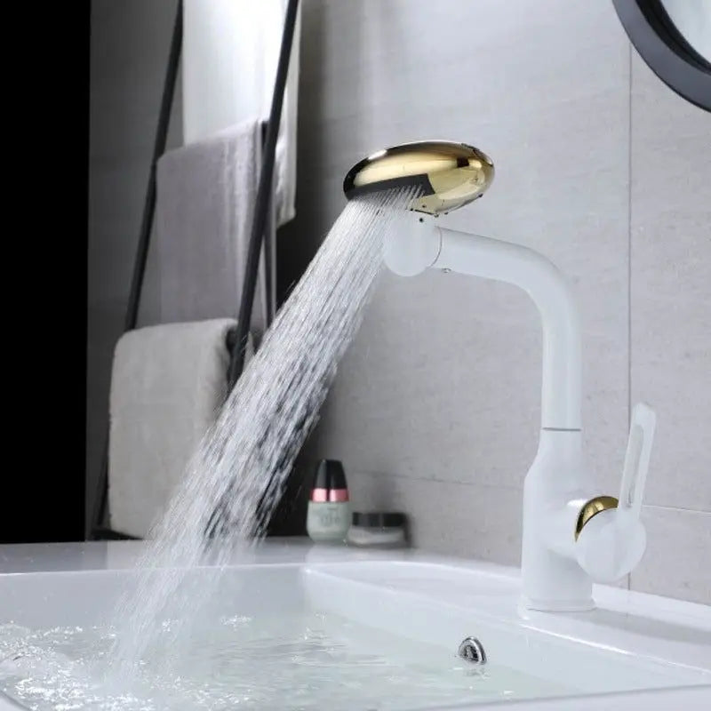 SwivelSplasher™ - 4 in 1 multifunctional faucet