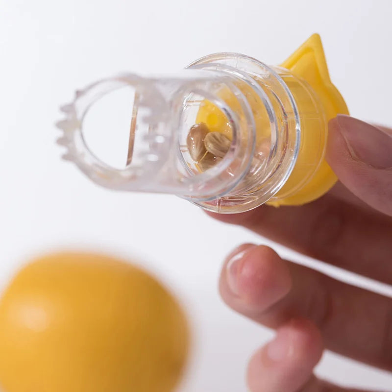 LemonSqueezie ™
