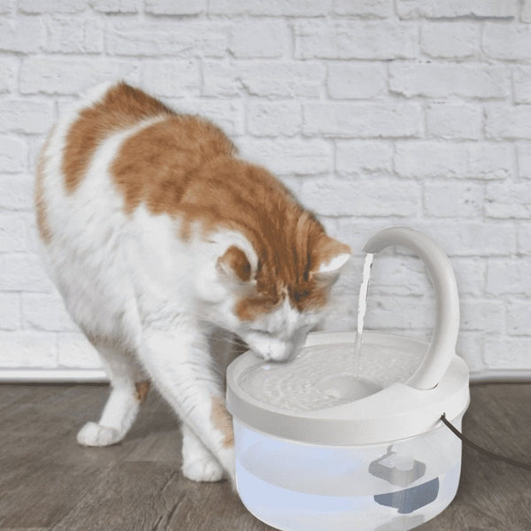 AutoDrink™ - Self Drinking Machine For Pets - TumTum