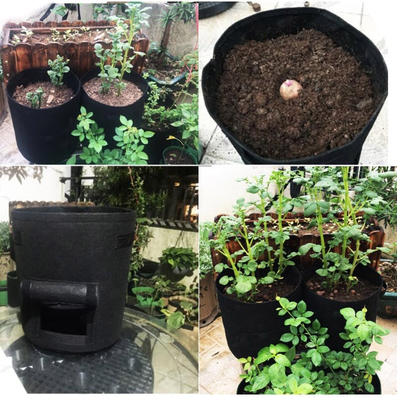 Easy Access Potato Planting Bag - TumTum