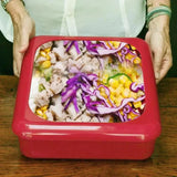 FreshMate™ - Insulation Lunch Box - TumTum