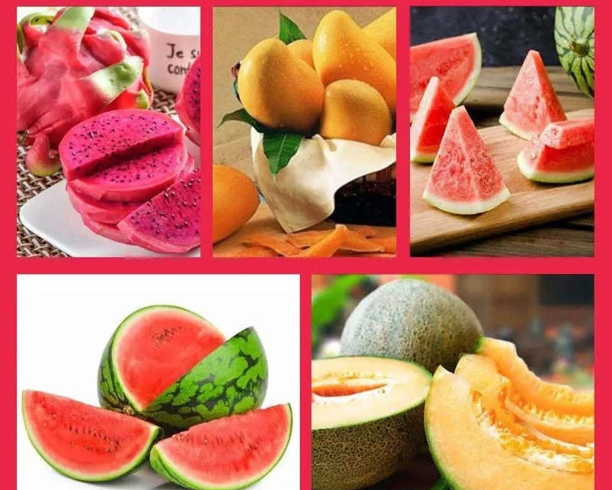 MelonMaster™ - TumTum
