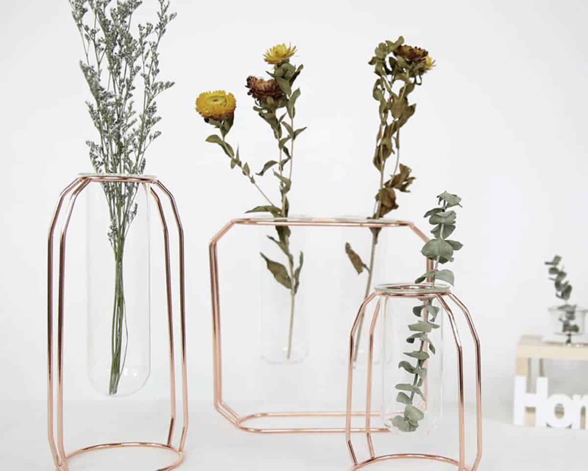 Midcentury Modern Glass and Metal Plant Propagation Stand - Full Package (3 pcs) - TumTum