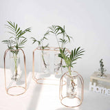 Midcentury Modern Glass and Metal Plant Propagation Stand - Full Package (3 pcs) - TumTum