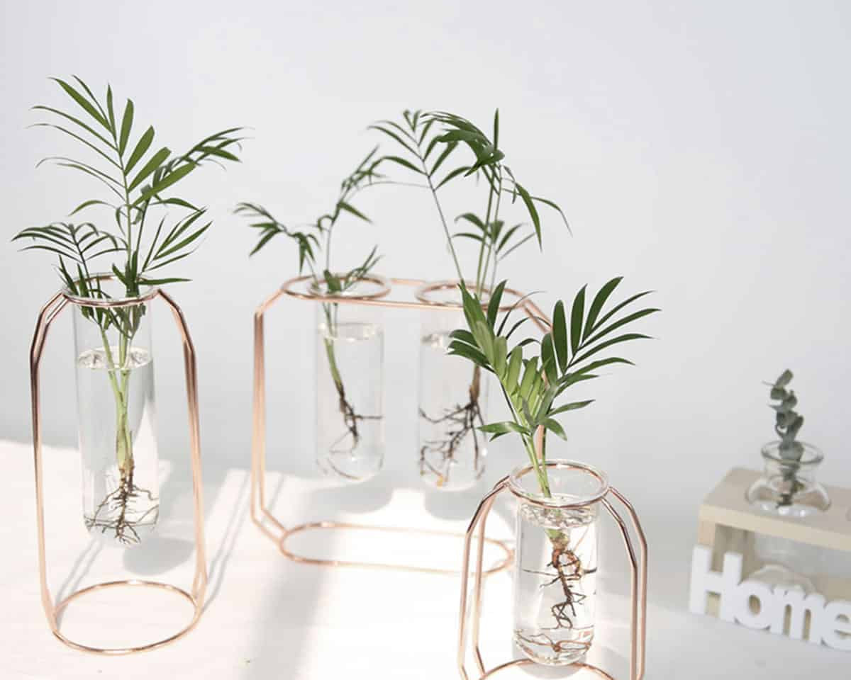 Midcentury Modern Glass and Metal Plant Propagation Stand - Full Package (3 pcs) - TumTum
