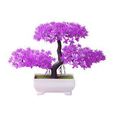 Perfect Size Artificial Potted Bonsai Pine Tree - TumTum
