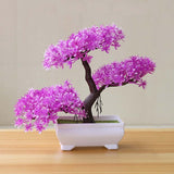 Perfect Size Artificial Potted Bonsai Pine Tree - TumTum