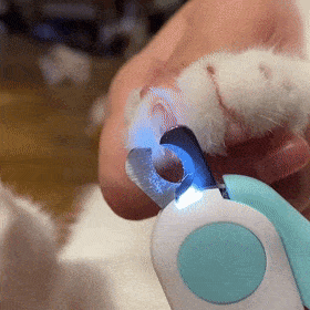 Pet Nail Clipper LED - TumTum