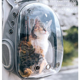 PetCruise™ - Venture BackPack for Pets - TumTum