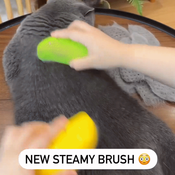 PetSoothe™ - Pet Electric Spray Massage Comb - TumTum