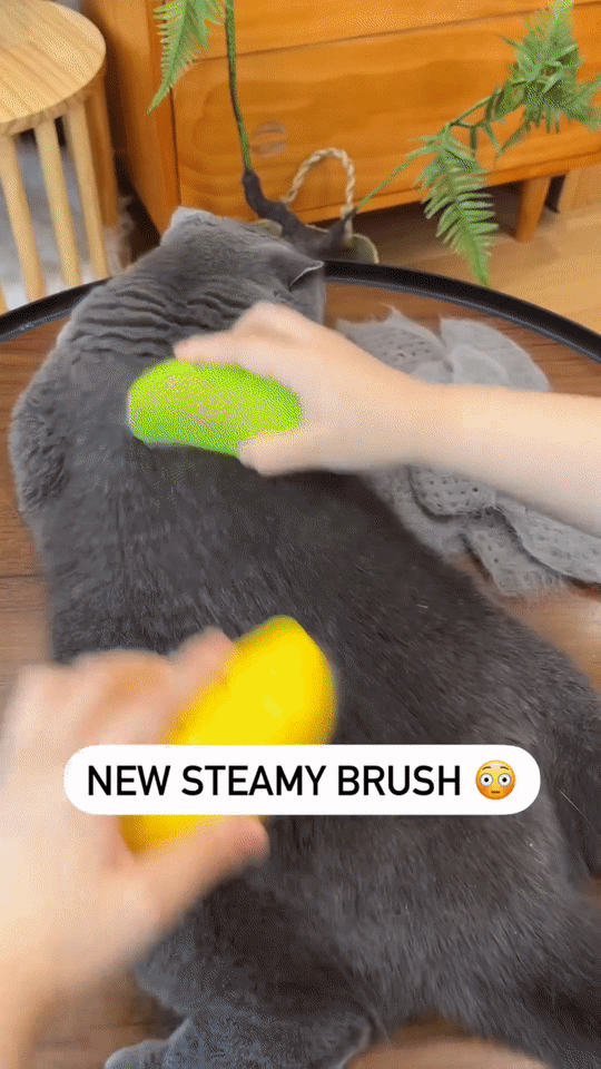 PetSoothe™ - Pet Electric Spray Massage Comb - TumTum