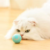 RollingPurr ™ - TumTum