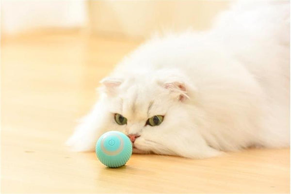 RollingPurr ™ - TumTum