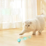 RollingPurr ™ - TumTum