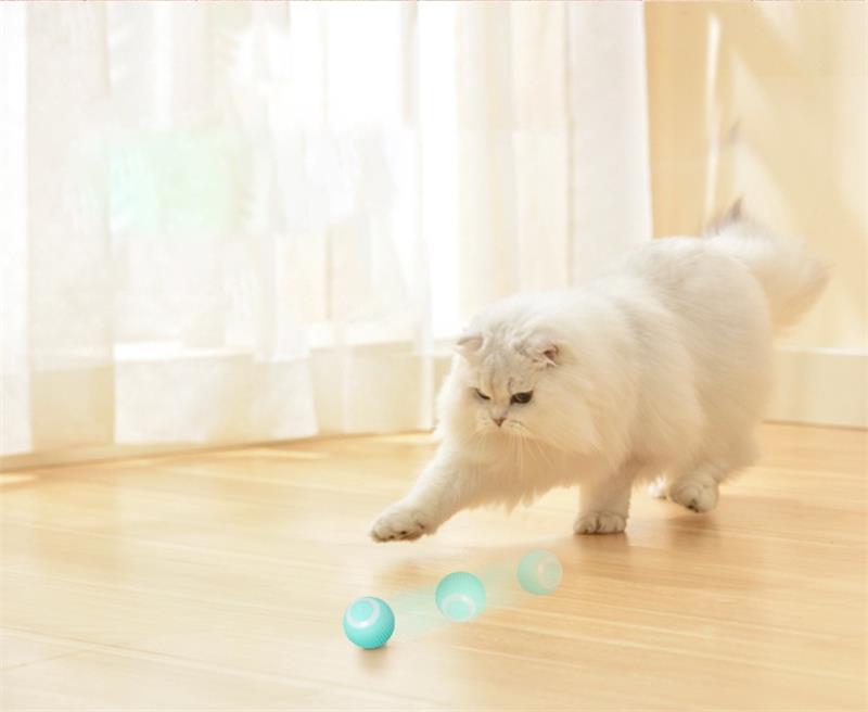 RollingPurr ™ - TumTum