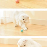 RollingPurr ™ - TumTum