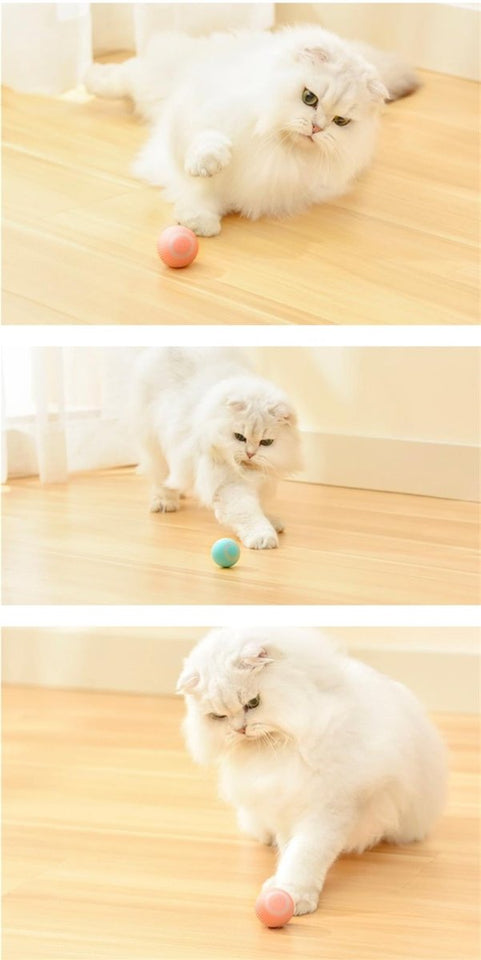 RollingPurr ™ - TumTum