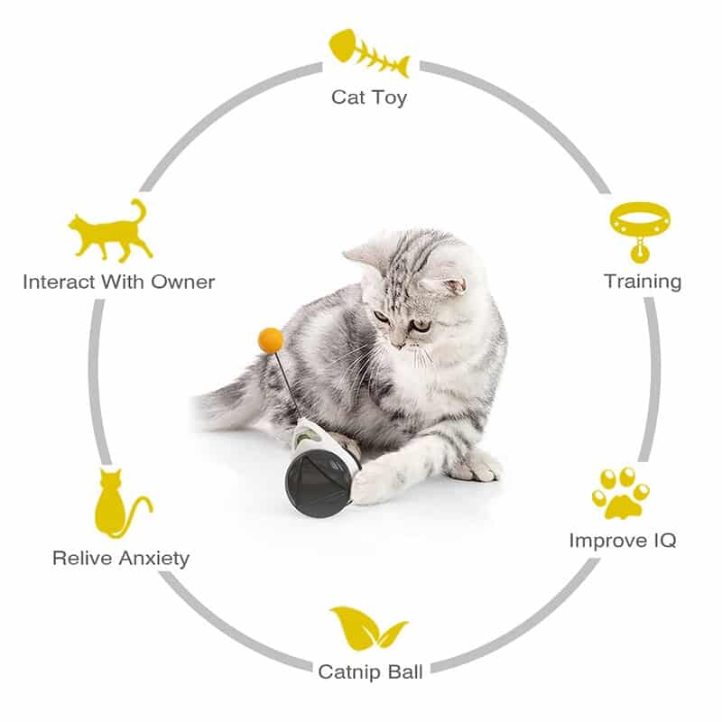Toy Friend Cat™ - TumTum