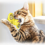 WhirligigPuzzle™ - Toy for Kitten Brush Teeth - TumTum