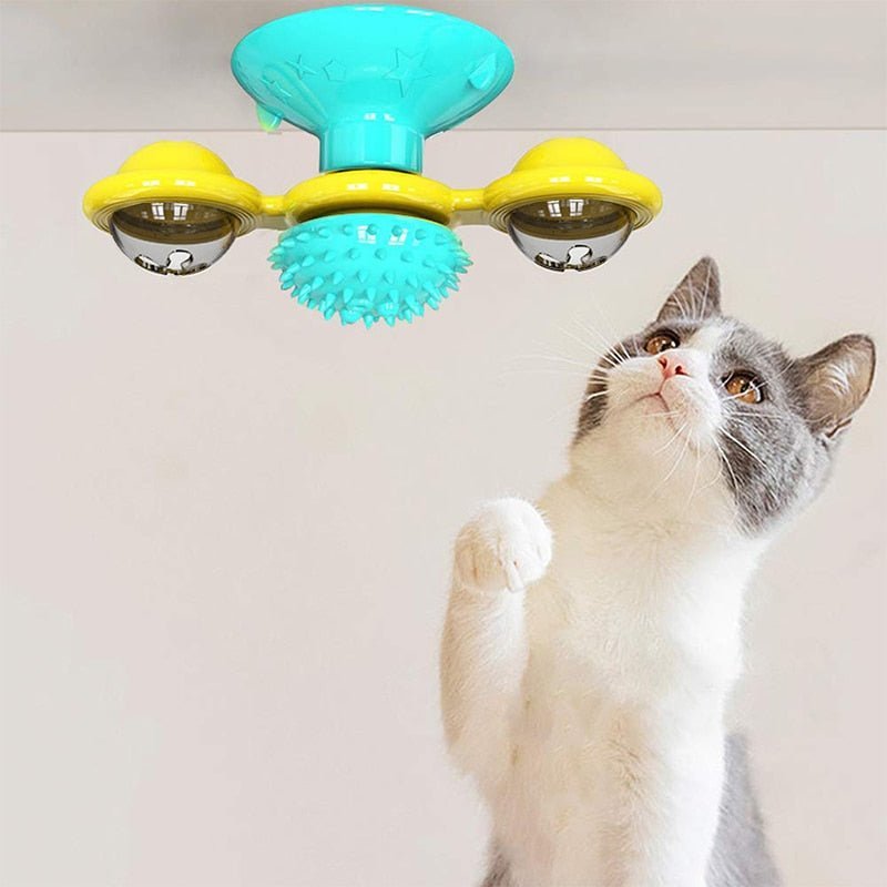WhirligigPuzzle™ - Toy for Kitten Brush Teeth - TumTum